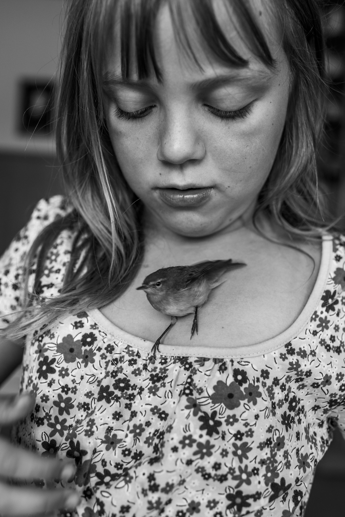 "Ich Bin Waldviertel" © Carla Kogelman. Primer puesto de la categoría Long-Term Projects