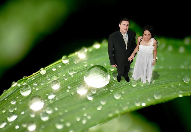 Bodas rusas 2