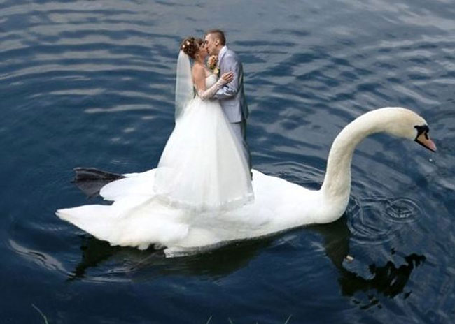 Bodas rusas 8