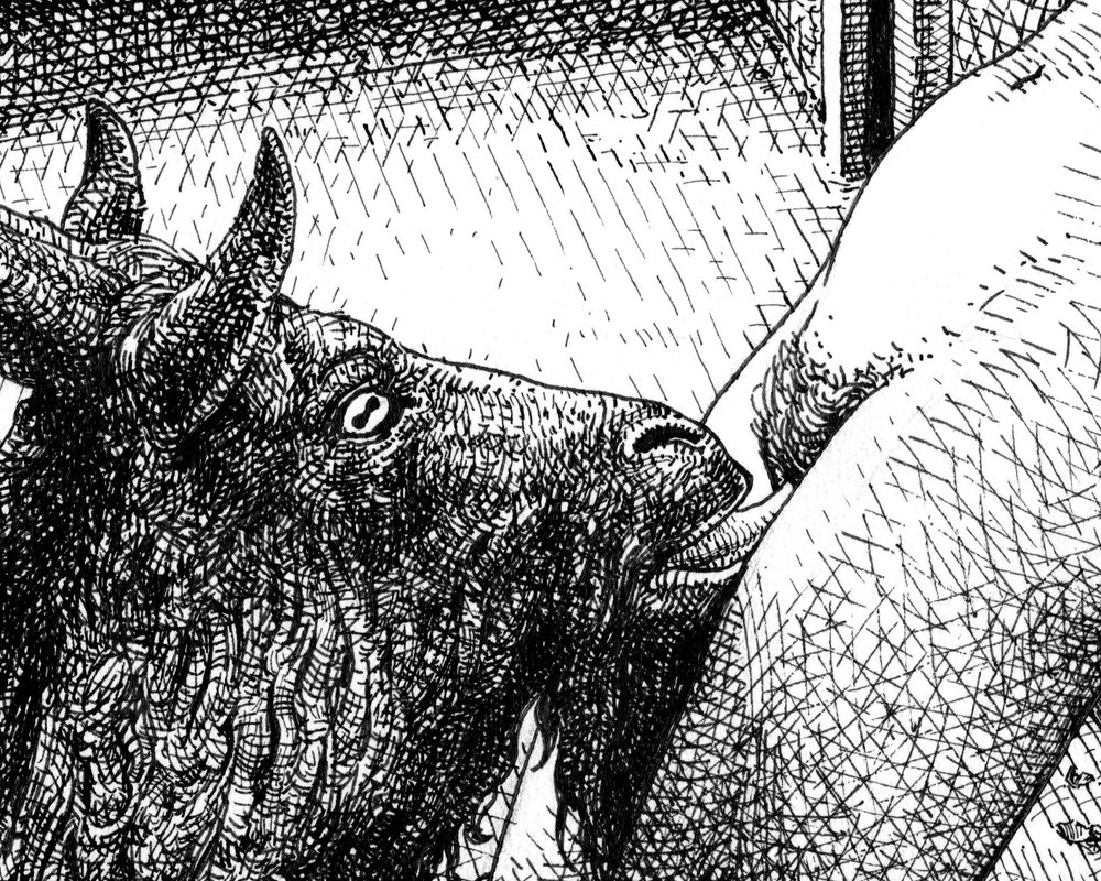 Cristóbal López aka Kerbcrawlerghost ilustración.