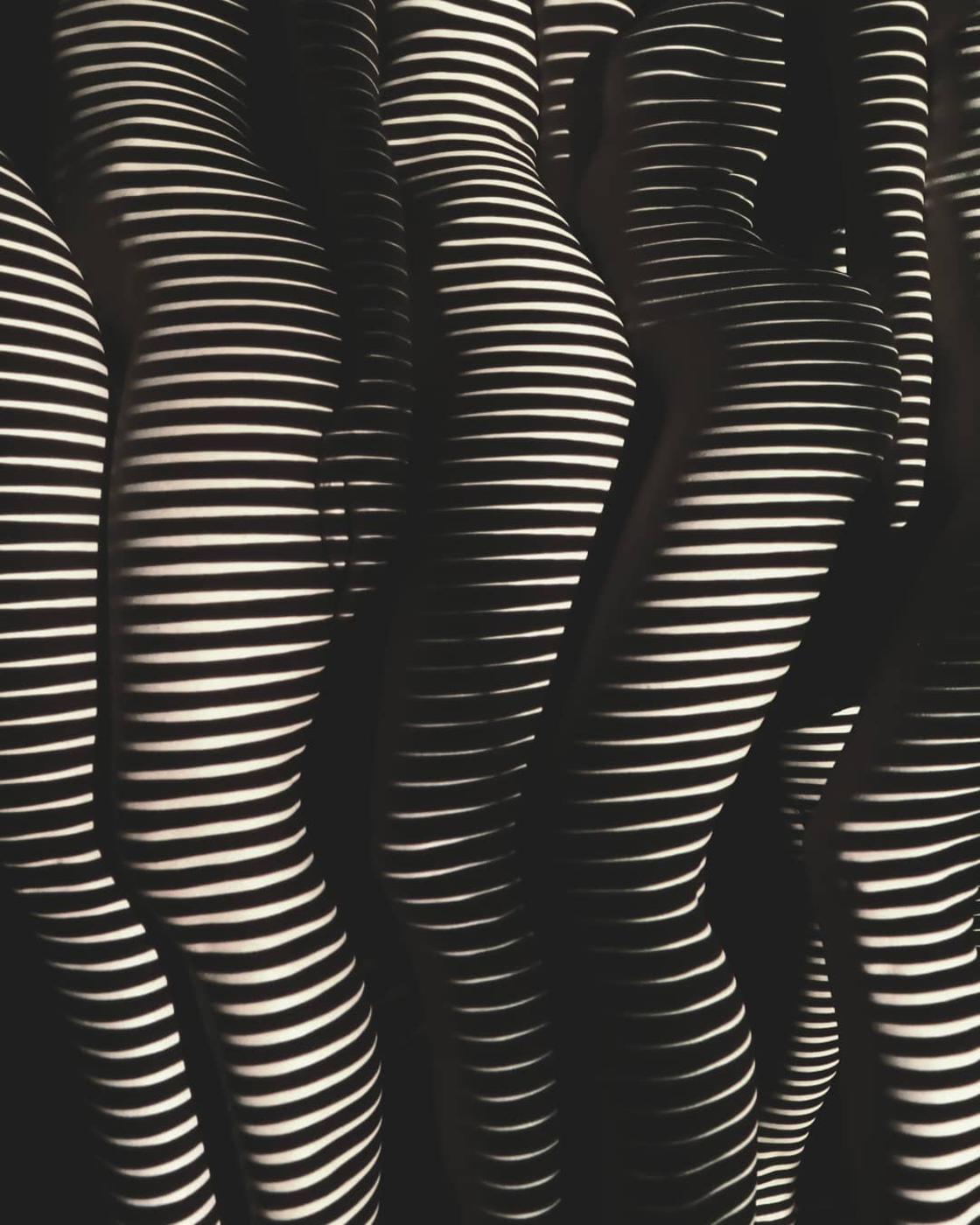 Dani Oivier cuerpos luz 20
