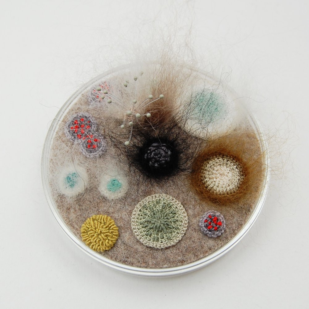 Elin Thomas arte plastico 3