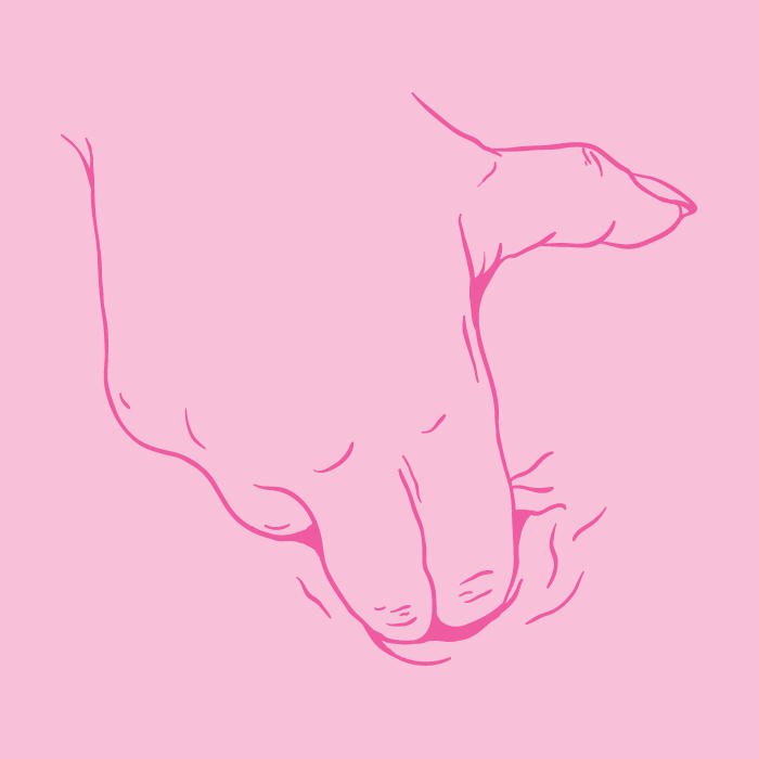 In pink we trust ilustraciones eroticas 10