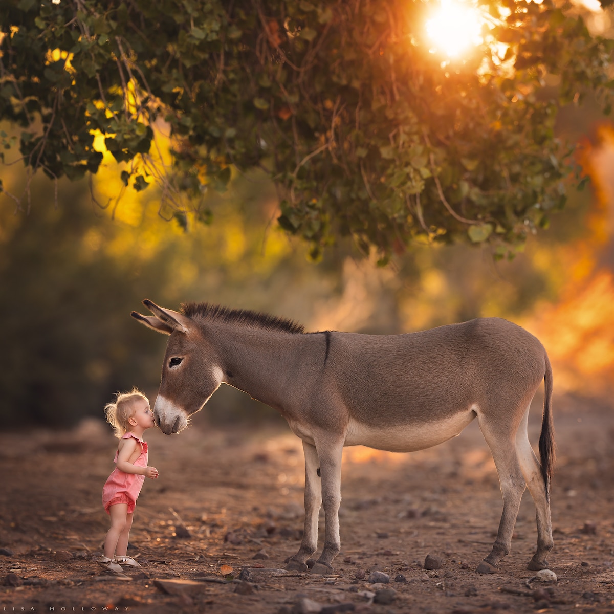 Lisa Holloway fotografia retrato 6