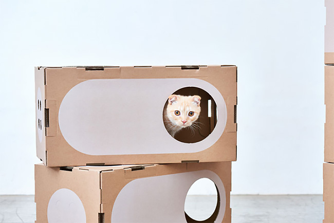 A Cat Thing casas gatos 10