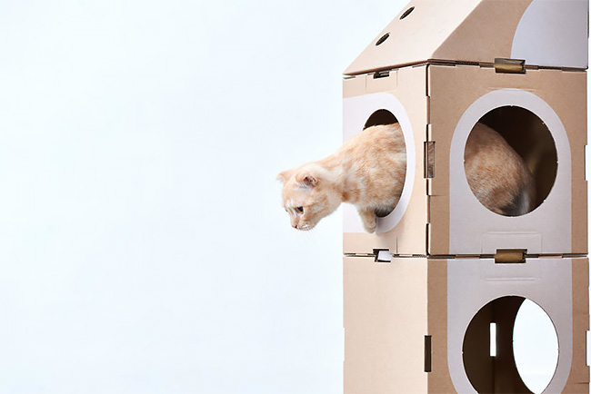 A Cat Thing casas gatos 11