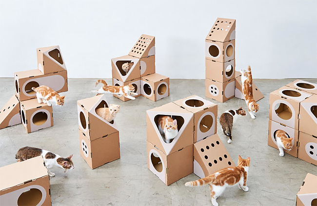 A Cat Thing casas gatos 14