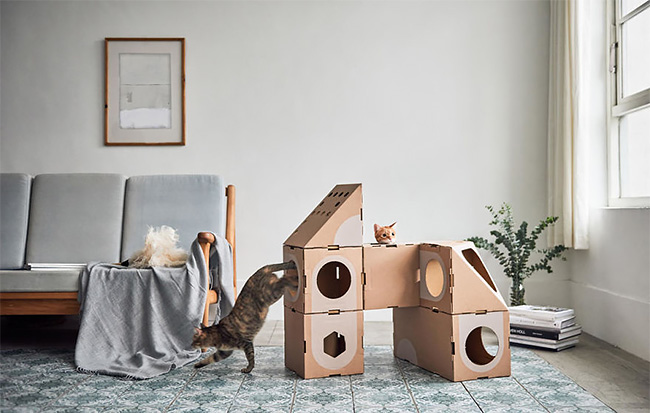 A Cat Thing casas gatos 2