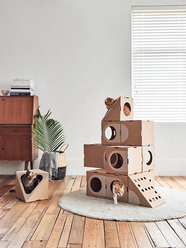 A Cat Thing casas gatos 5