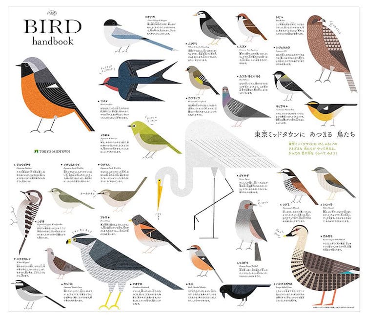 Ryo Takemasa ilustraciones pajaros japoneses