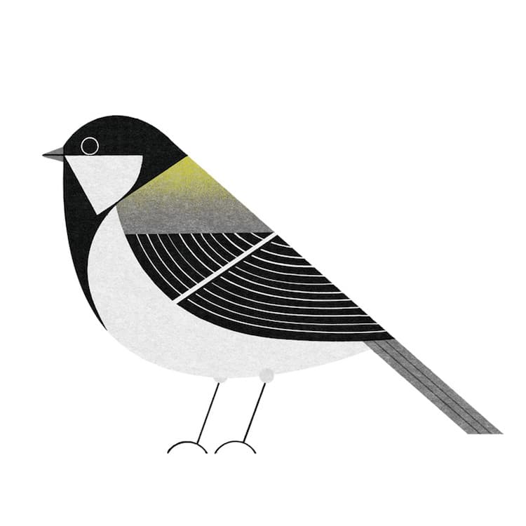 Ryo Takemasa ilustraciones pajaros japoneses 14