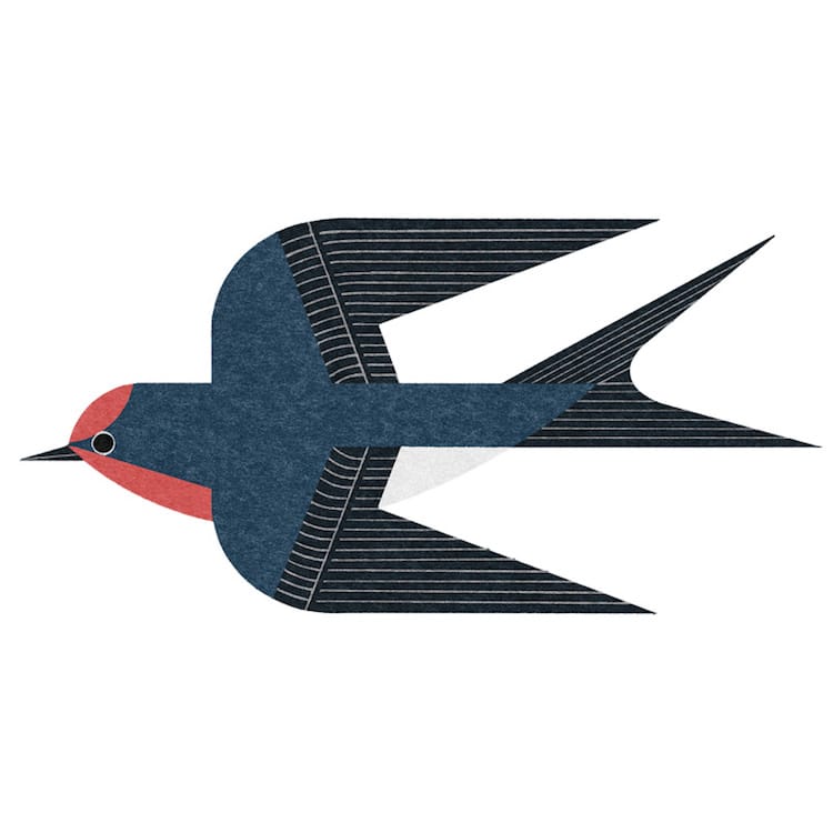 Ryo Takemasa ilustraciones pajaros japoneses 15