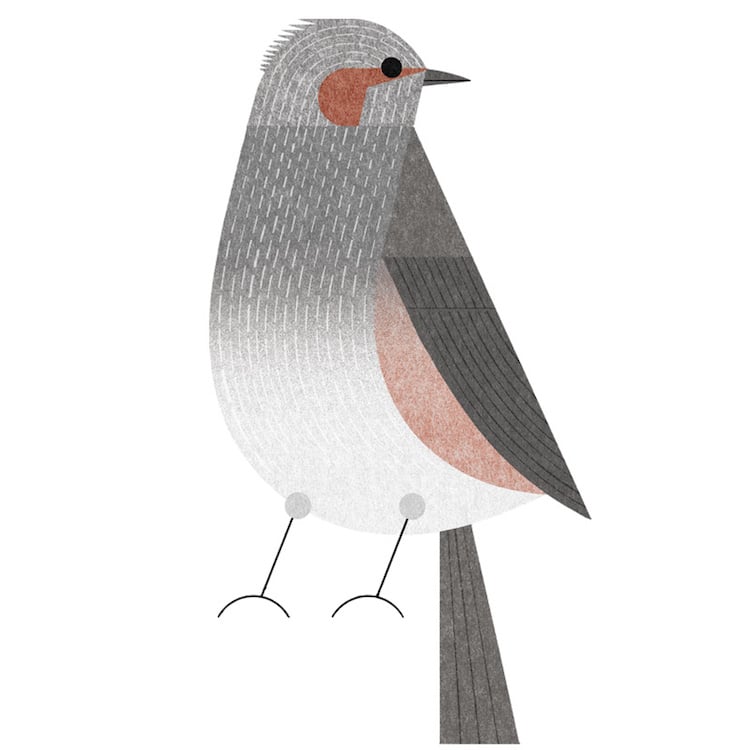 Ryo Takemasa ilustraciones pajaros japoneses 16