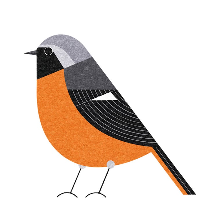 Ryo Takemasa ilustraciones pajaros japoneses 2