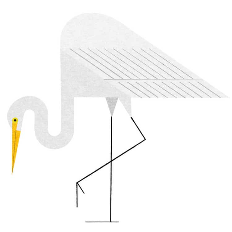 Ryo Takemasa ilustraciones pajaros japoneses 6