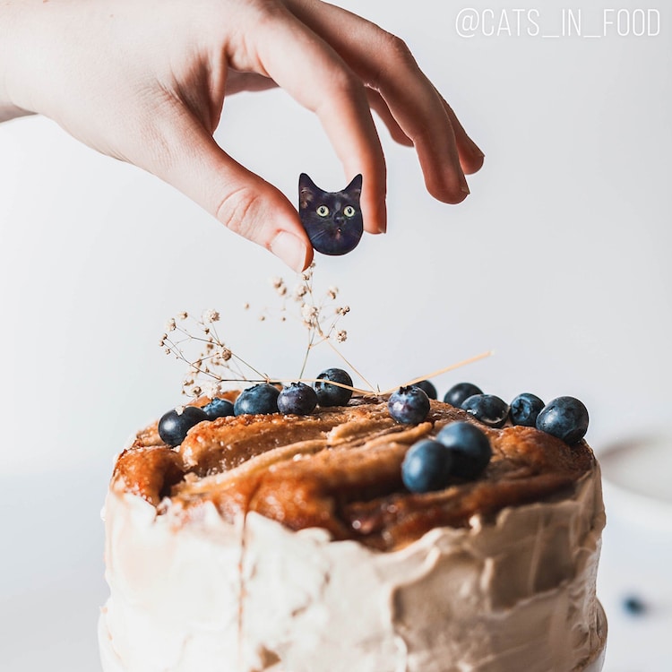cats in food culturainquieta2