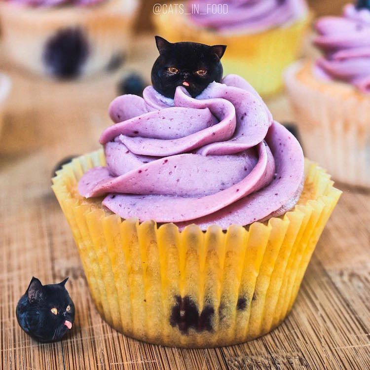 cats in food culturainquieta31