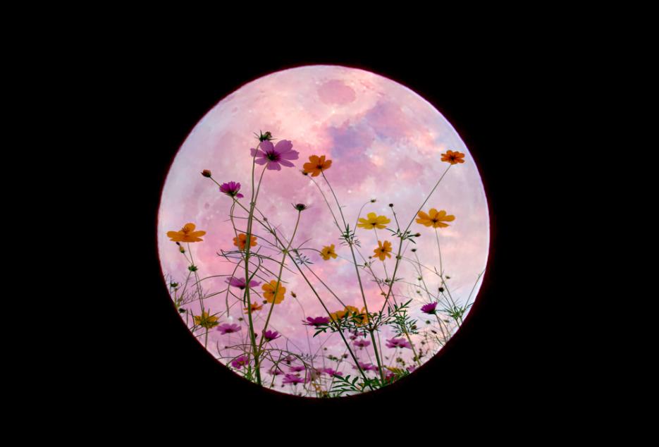fullmoon culturainquieta40