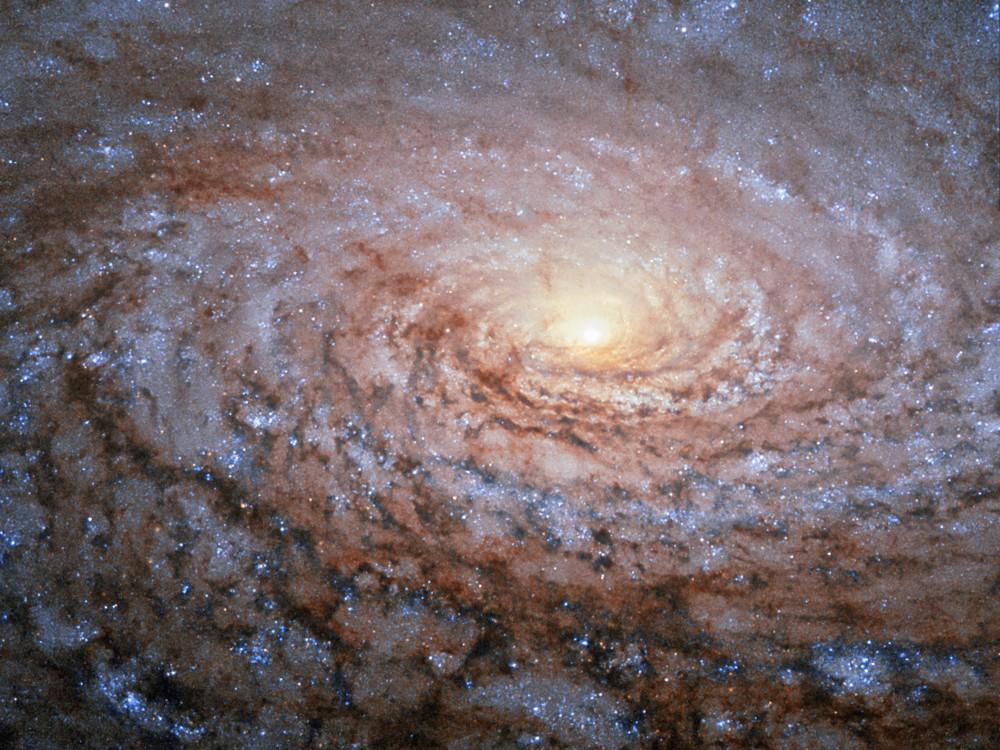 Galaxia Girasol