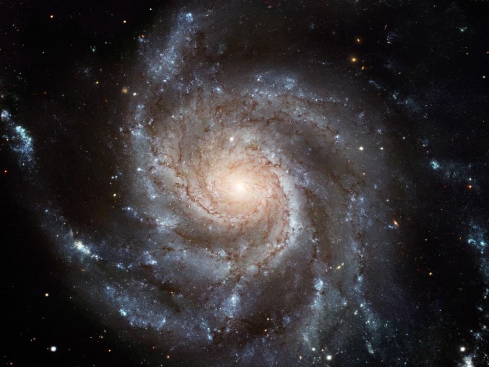 Galaxia Molinete