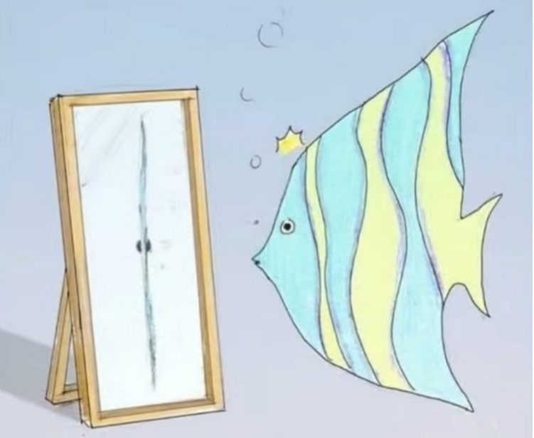ilustraciones críticasocial6