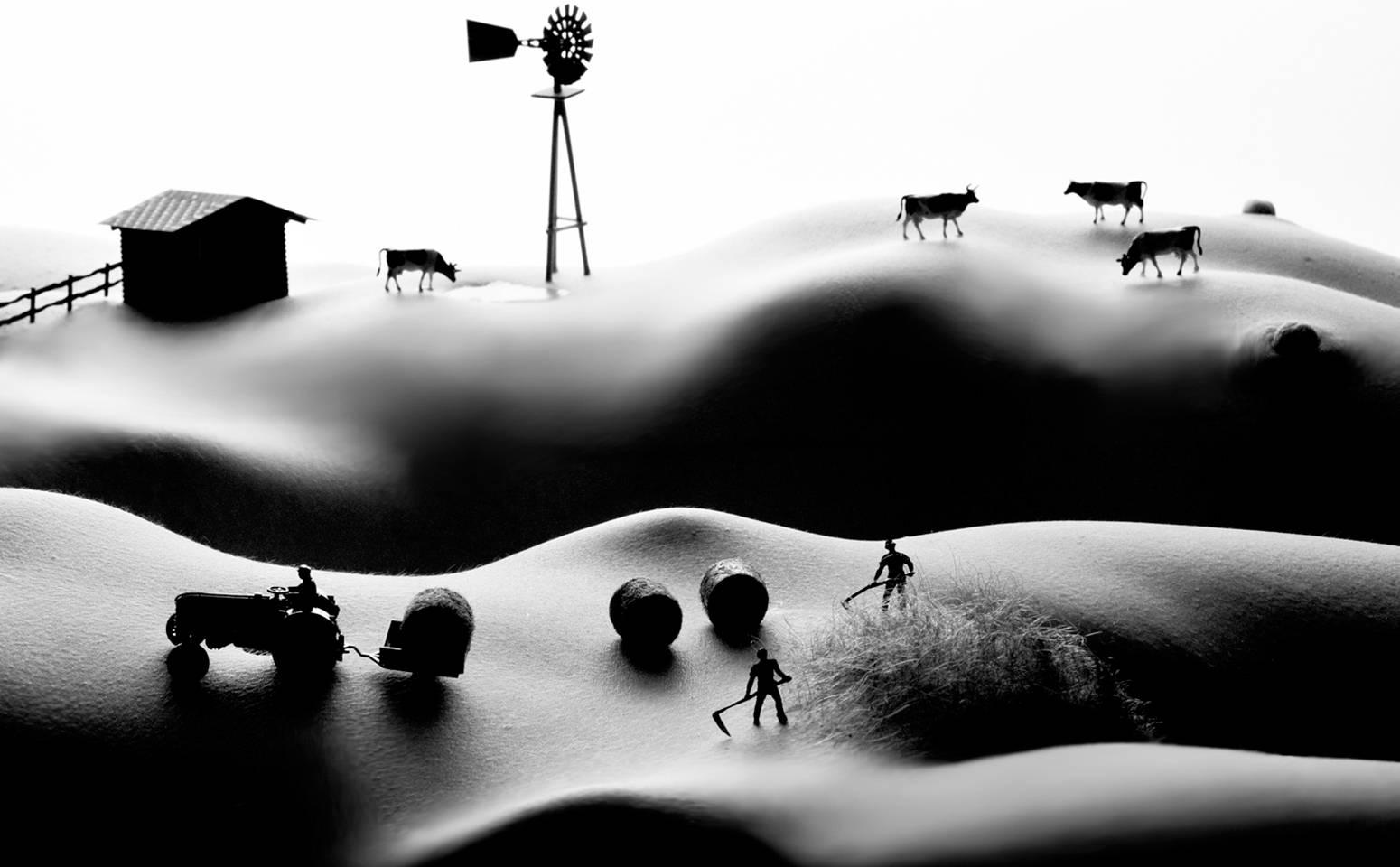 Allan Teger 6