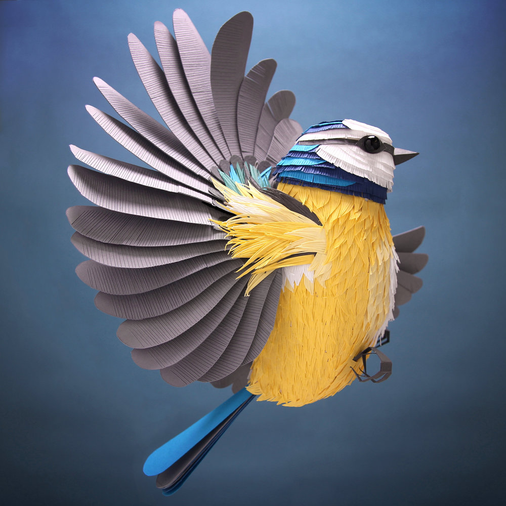 LisaLloyd papel 3d 07