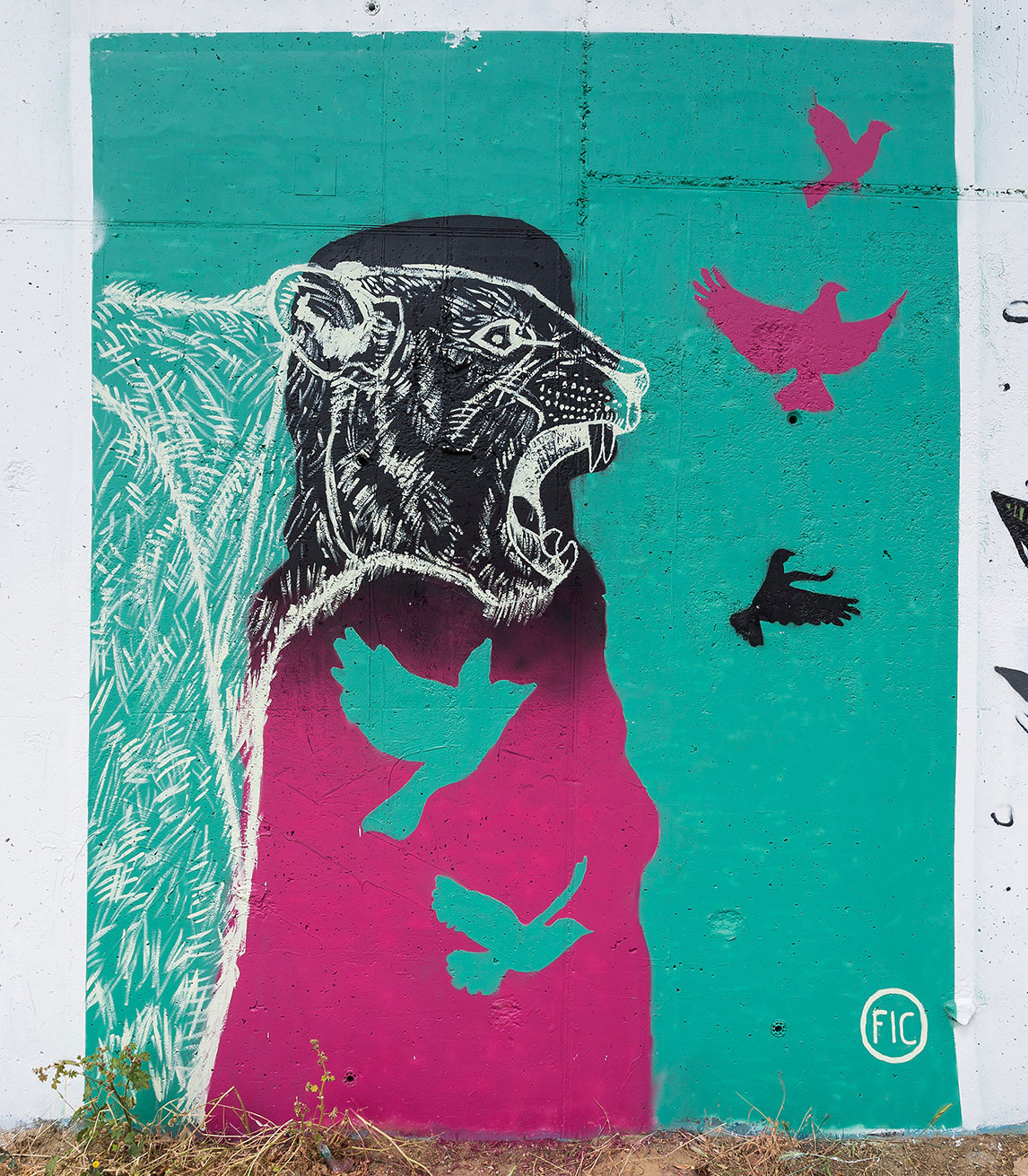 Pintando el sur FLIPIN IN COLOUR