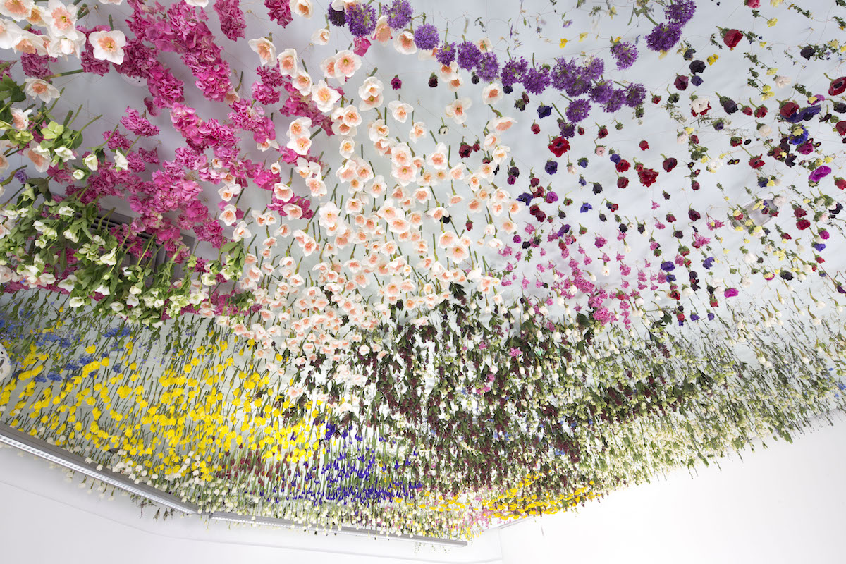 Rebecca Louise Law 12 IndoorGardens culturainquieta