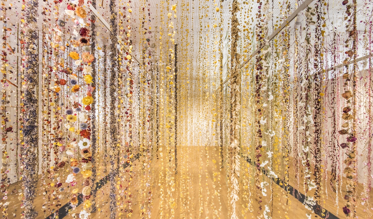 Rebecca Louise Law 6 IndoorGardens culturainquieta