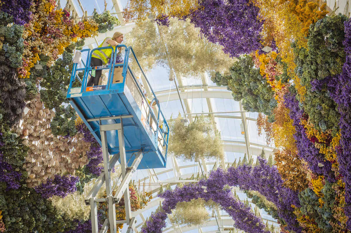 Rebecca Louise Law 7 IndoorGardens culturainquieta