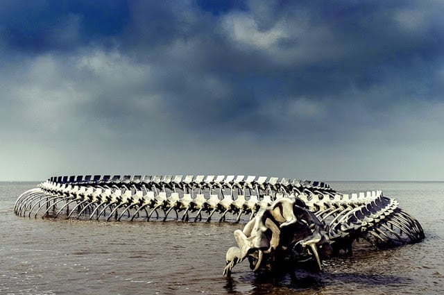 Serpiente gigante Nantes