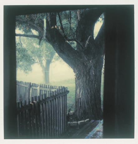 Tarkovsky Polaroids 12 culturainquieta
