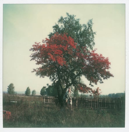 Tarkovsky Polaroids 14 culturainquieta