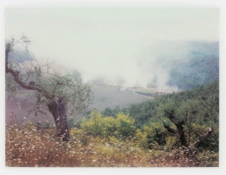 Tarkovsky Polaroids 7 culturainquieta