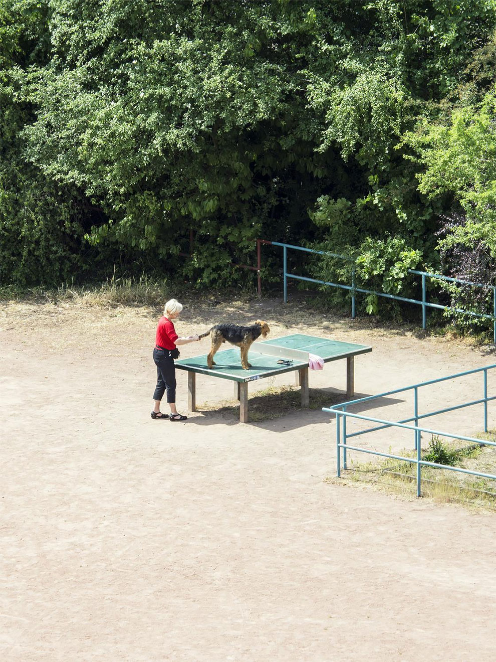 Tomiyasu ping pong 2