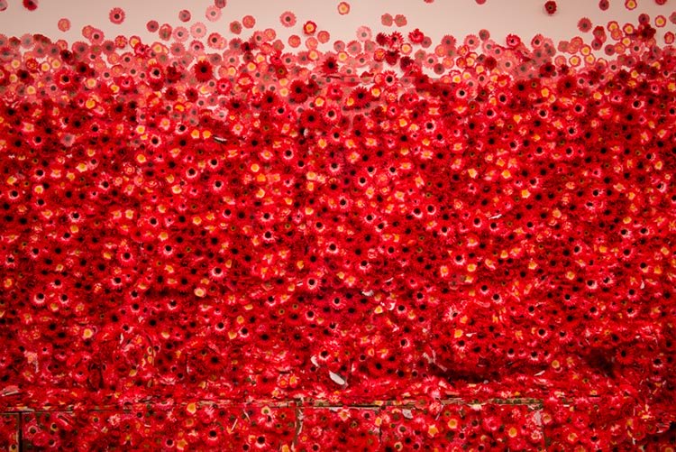Yayoi Kusama culturainquieta10