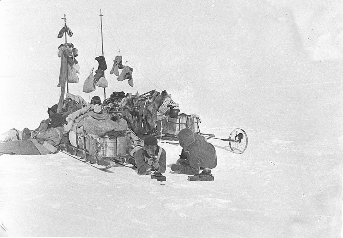 expedicion antartica australasica 19