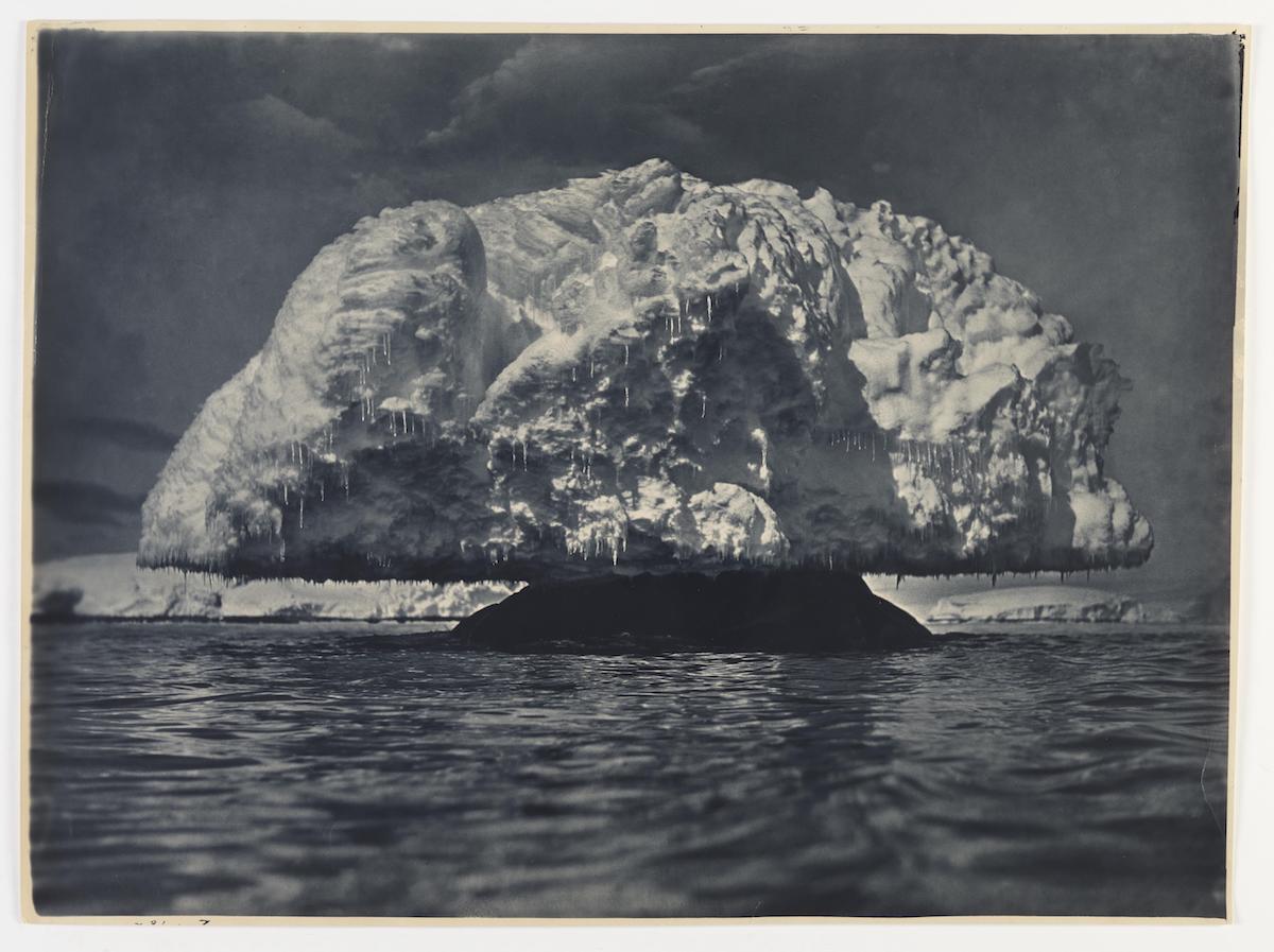 expedicion antartica australasica 2