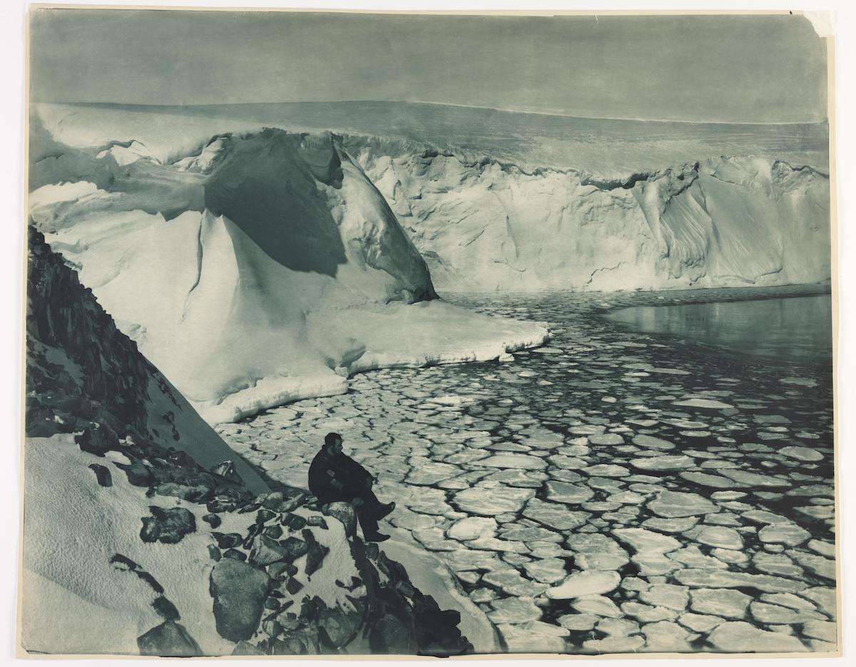 expedicion antartica australasica 4