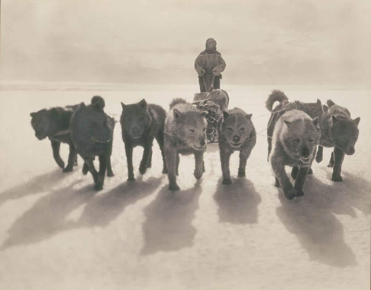 expedicion antartica australasica 6