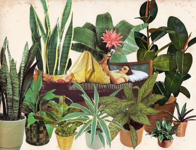 Beth Hoeckel 1 collage culturainquieta