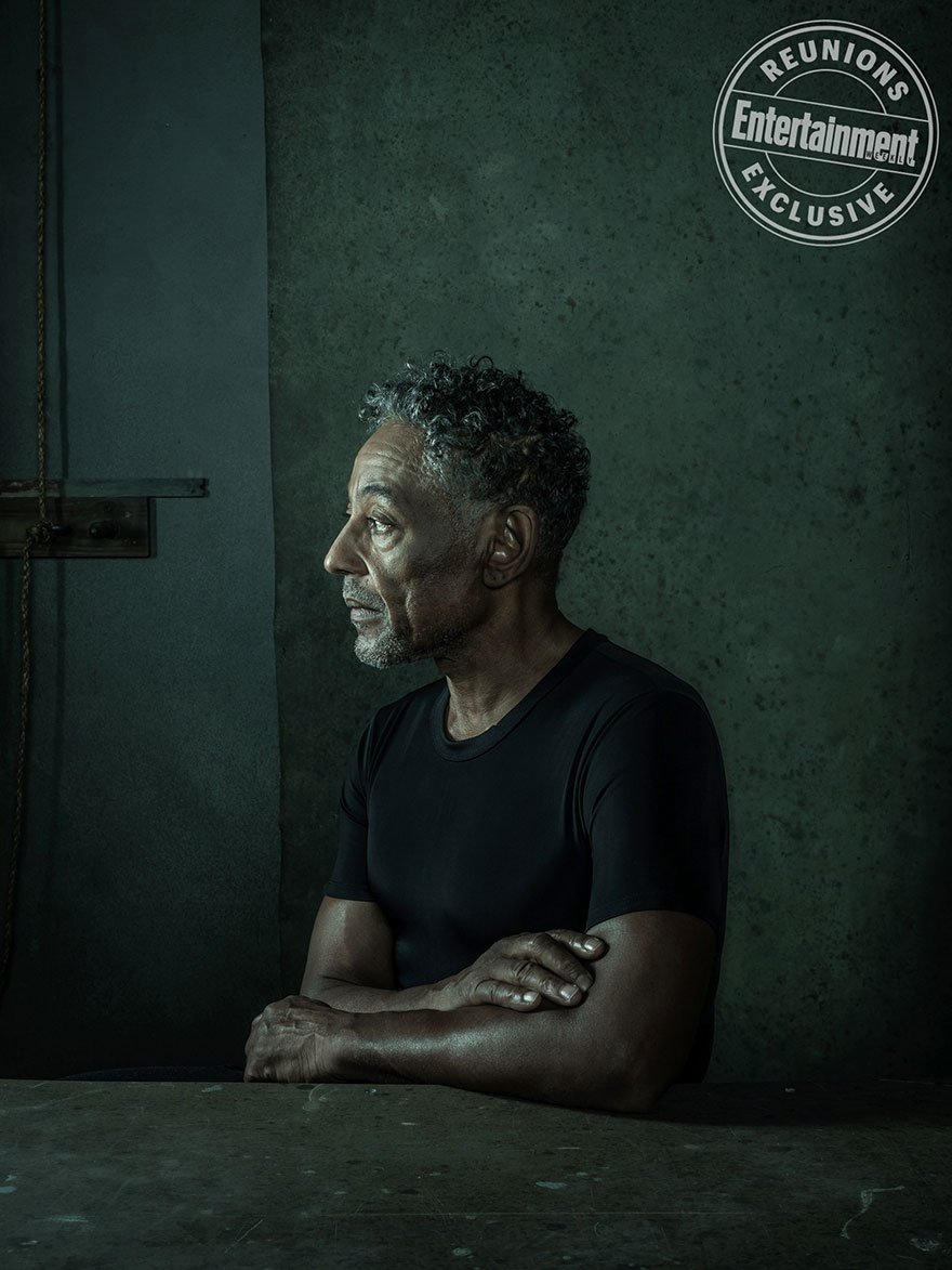 Giancarlo Esposito (Gustavo Fring), Breaking Bad
