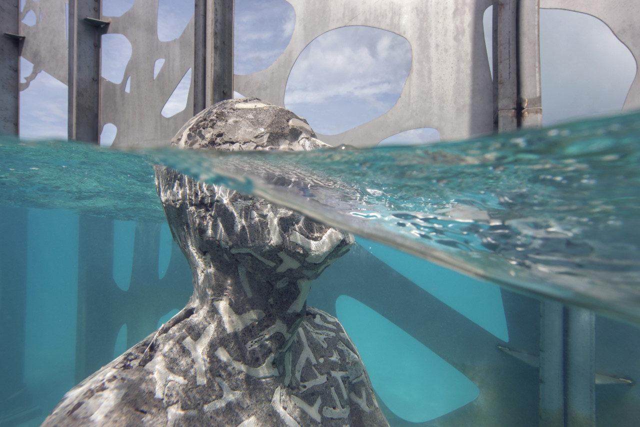 Coralarium 06
