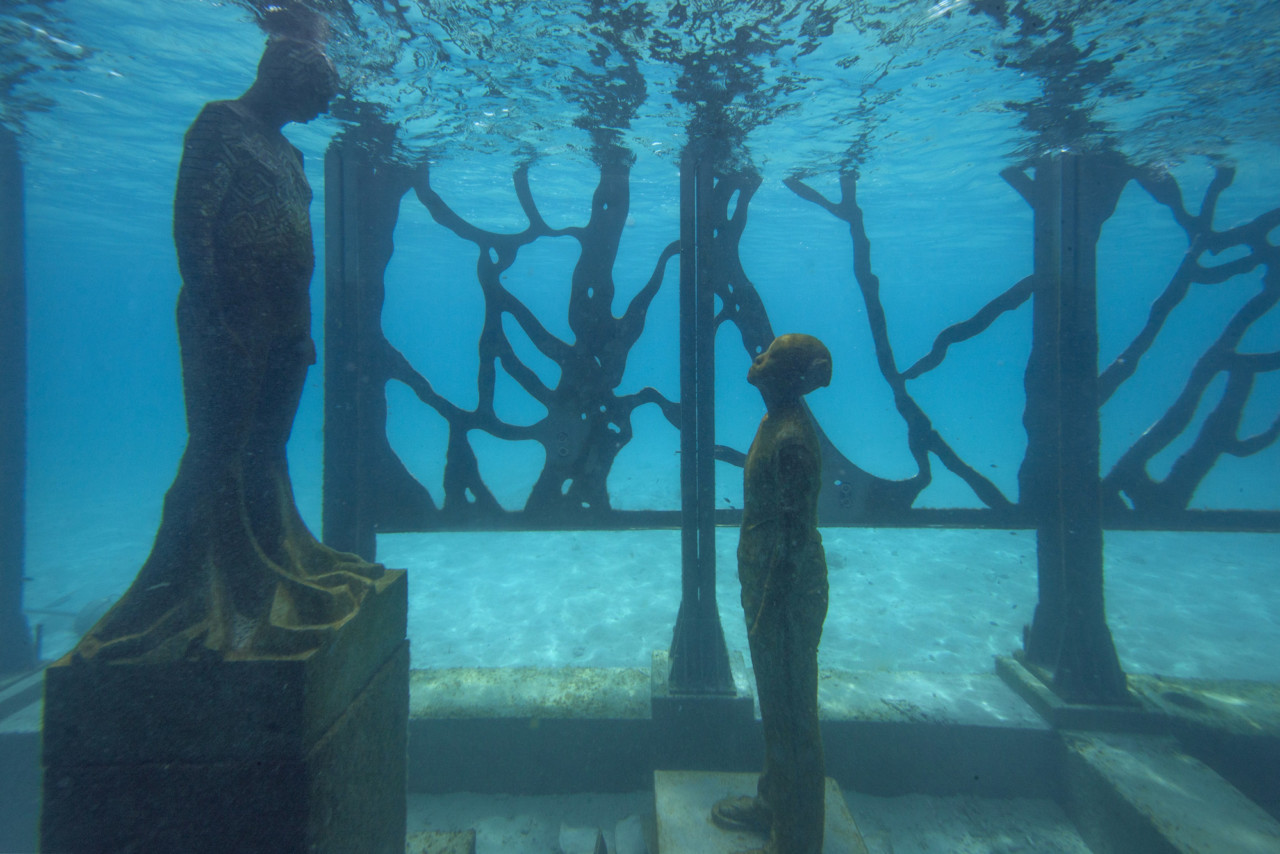 Coralarium 08