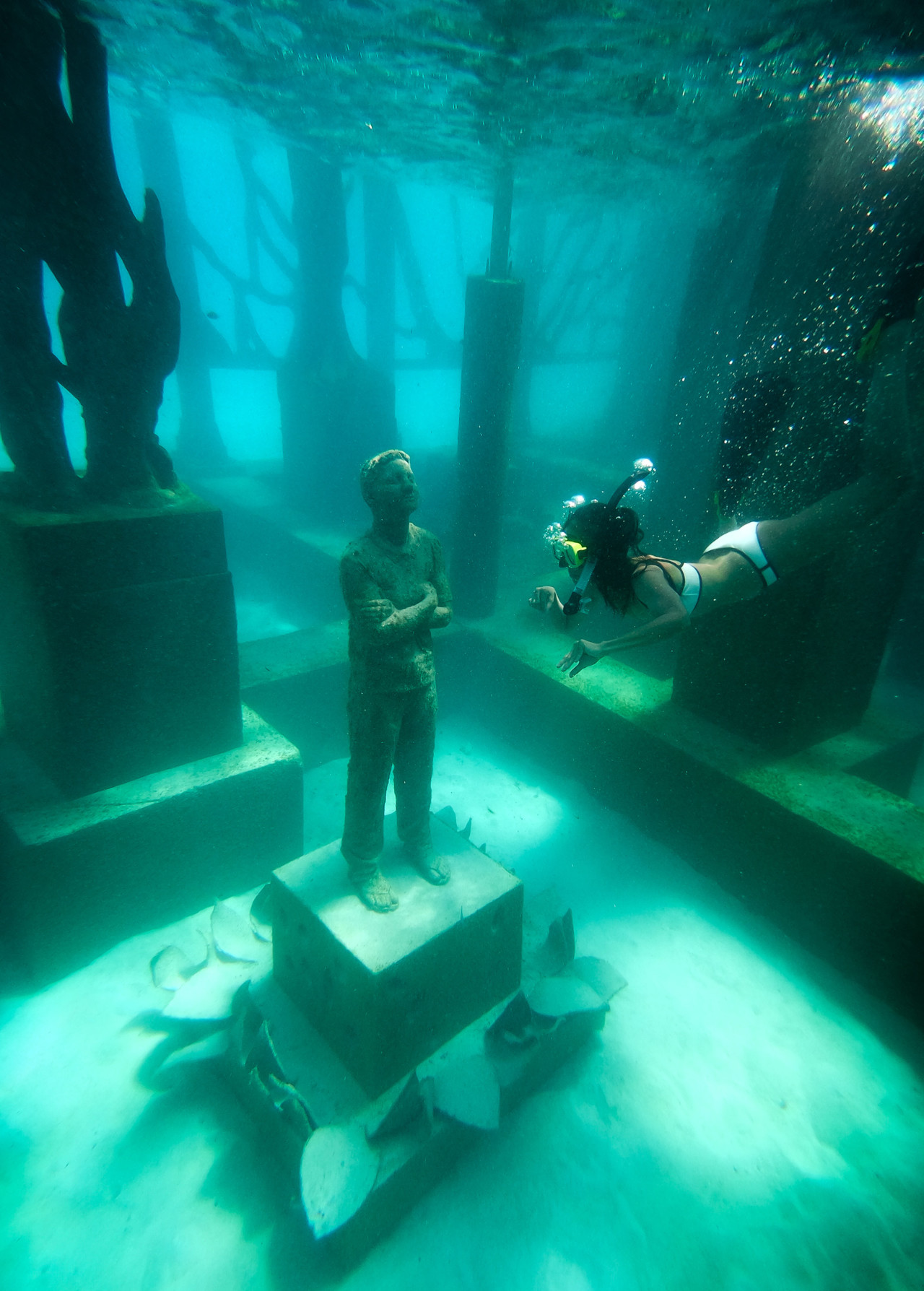Coralarium 09