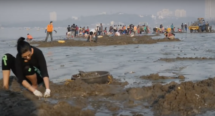 Mumbai clean plastic 1 culturainquieta