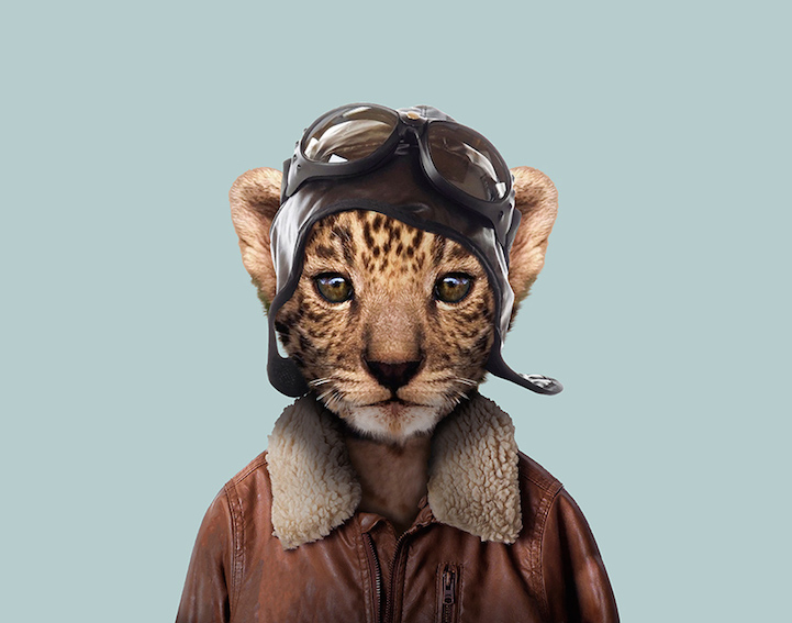 Yago Partal 11 animal portraits culturainquieta