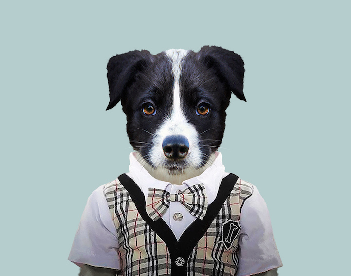 Yago Partal 12 animal portraits culturainquieta