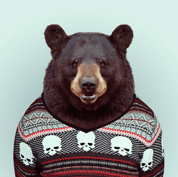 Yago Partal 13 animal portraits culturainquieta